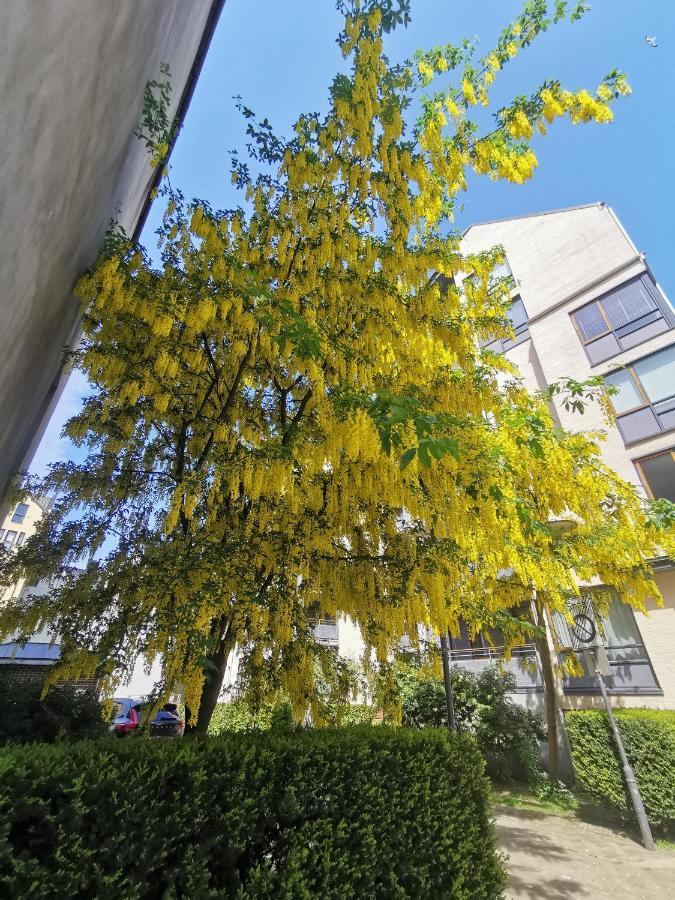 80 Square Metre Flat In The Heart Of Bergen - 2 Big Bedrooms Экстерьер фото